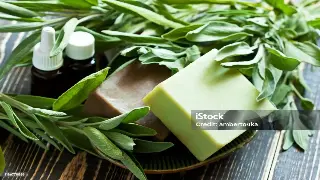 告别传统澡堂子！深圳桑拿新趋势：沉浸式体验与个性化定制成主流！ poster
