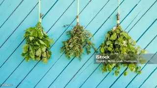 深圳桑拿新玩法：告别千篇一律，解锁你的专属蒸汽密码！ 缩略图
