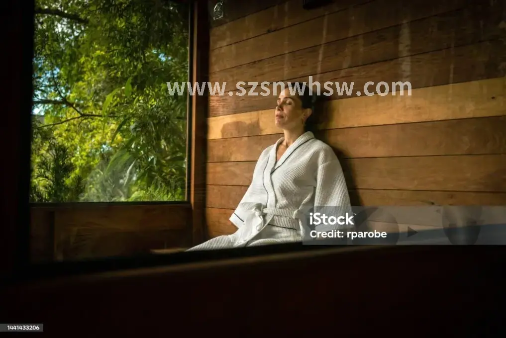 桑拿类型