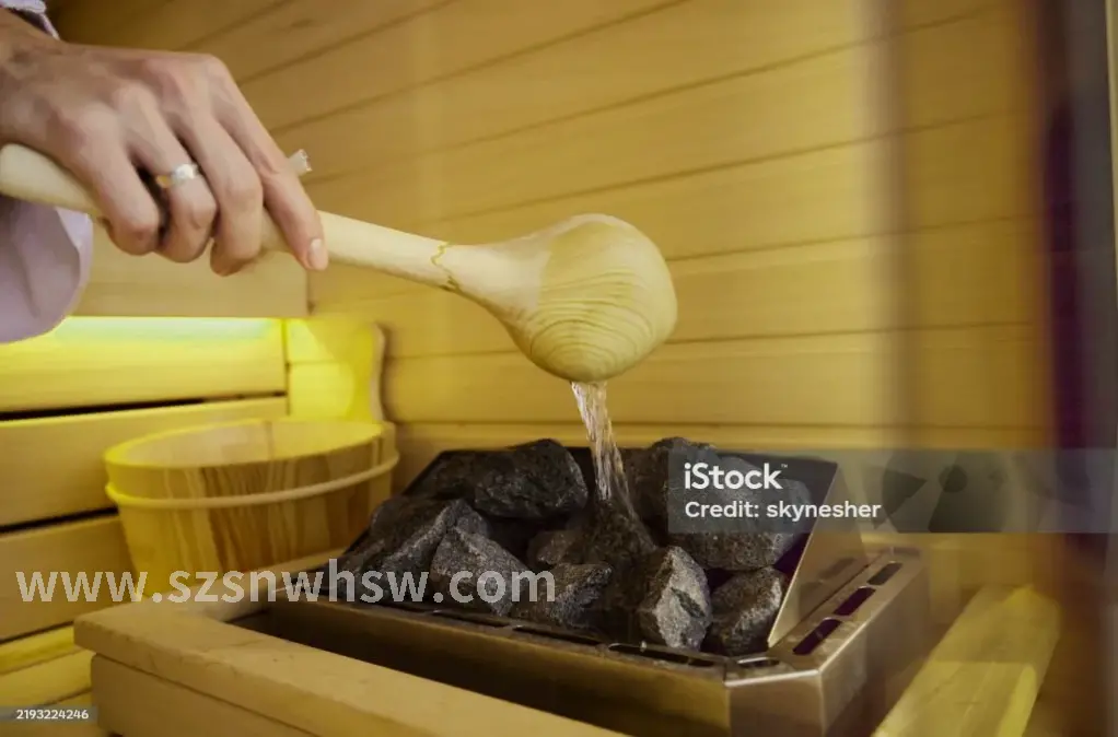 桑拿类型