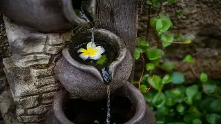 深圳按摩小白必看：告别迷茫，找到你的专属养生秘籍！ 缩略图