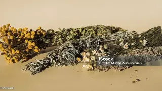 探秘蒸汽奇迹：深圳最全桑拿类型大揭秘，哪个才是你的菜？ 缩略图